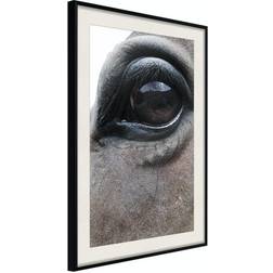 Arkiio Affisch Honest Eyes [Poster] 20x30 Poster